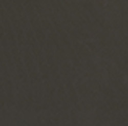 A491