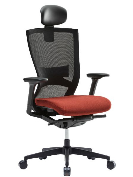 CHA4300