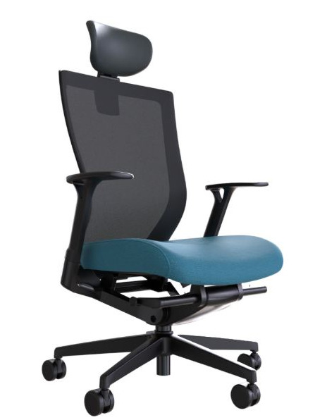 CHA4300