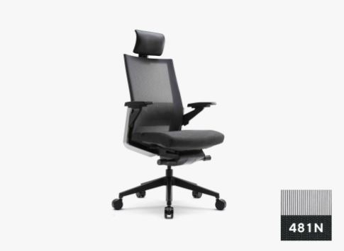 481N