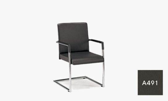 A491